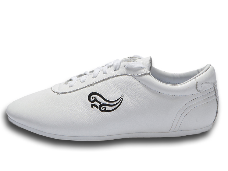Leather Tai Chi Shoes